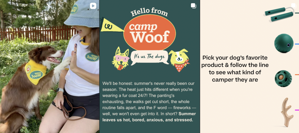 출처 : mywoof