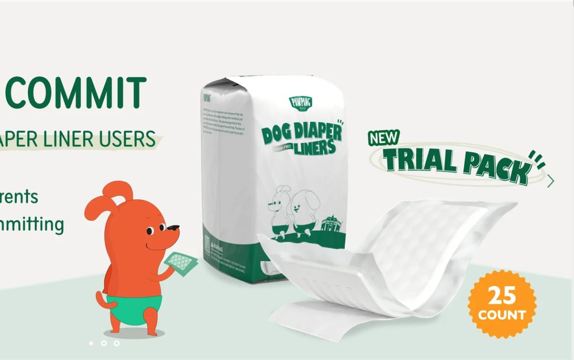 포우팡 (PAWPANG) 프로젝트